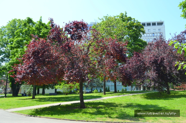 photo 2136166