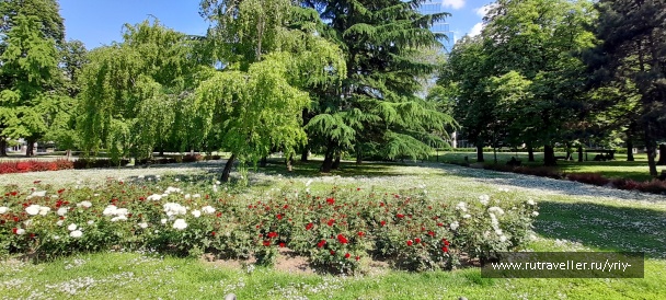 photo 2136473