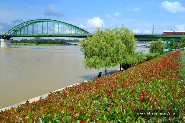 photo 2138960