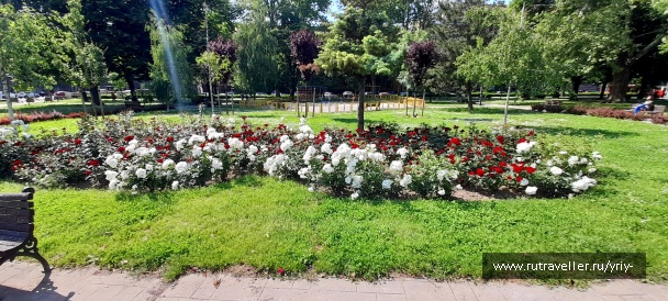 photo 2147709