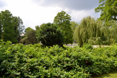 photo 2132429