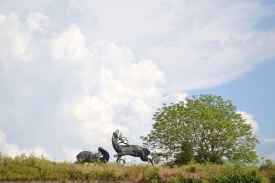 photo 2138131