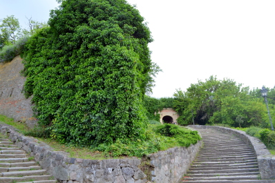 photo 2141541