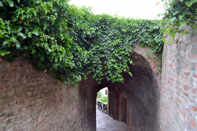 photo 2144429