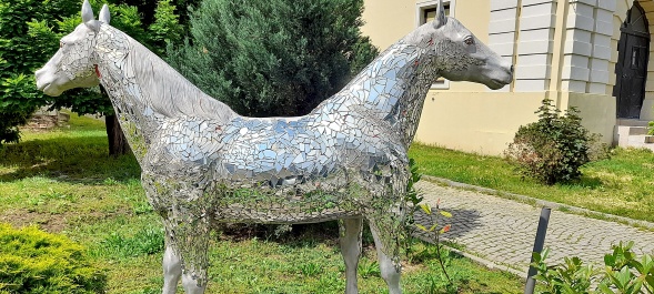 photo 2150773