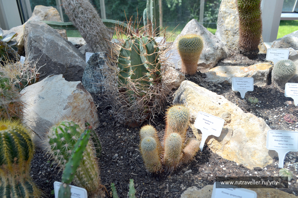 photo 2125255