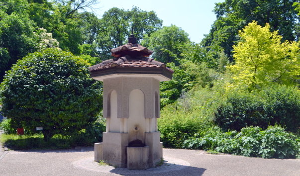 DSC_08525.JPG