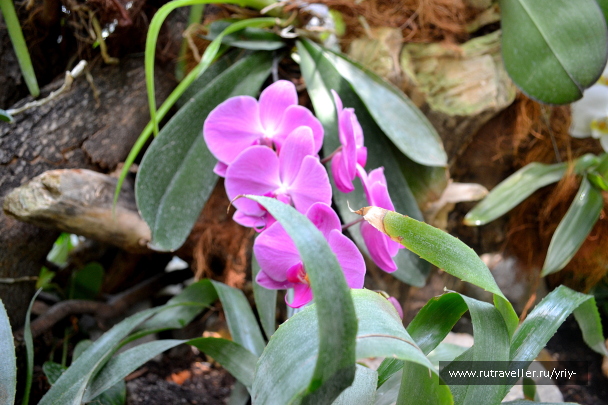 photo 2134315