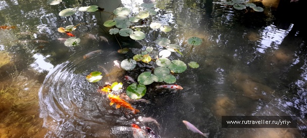 photo 2136194