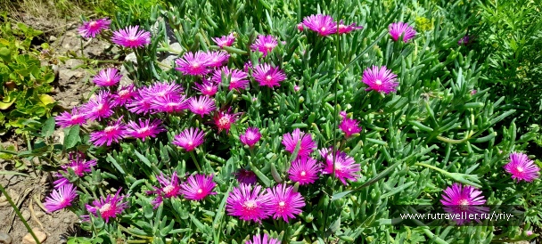 photo 2147705