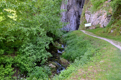 photo 2117648