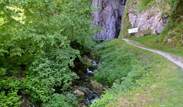 DSC_09191