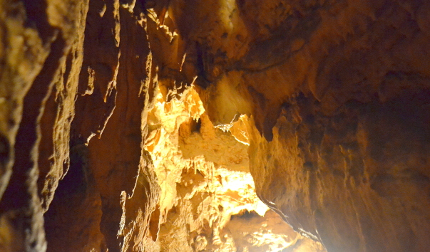 DSC_09258.JPG