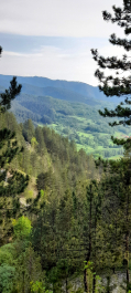 photo 2106886