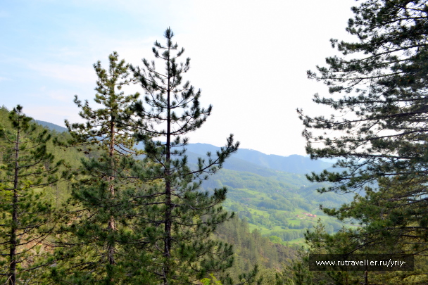 photo 2136531