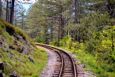 photo 2143637