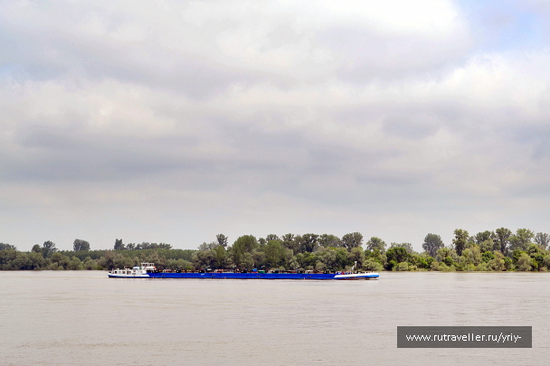 photo 2141726