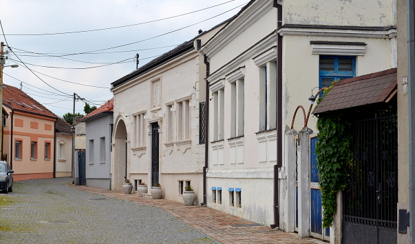 DSC_09511.JPG