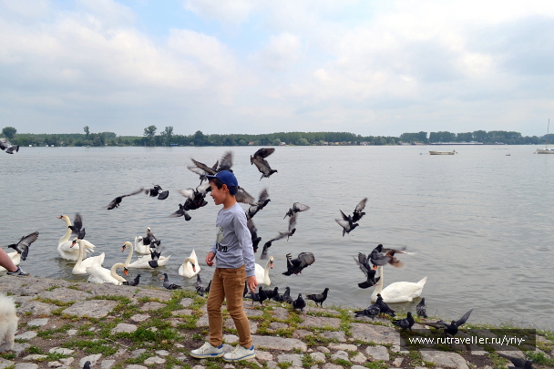 photo 2147415