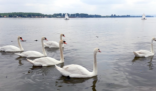 DSC_9553.jpg