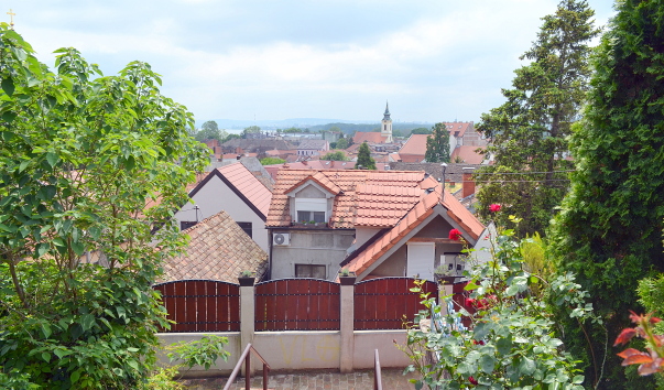 DSC_09512.JPG