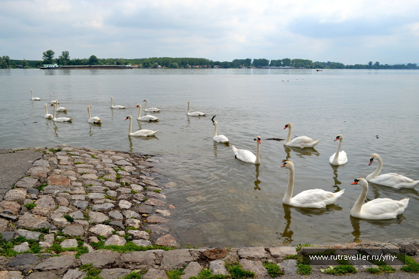 photo 2157045