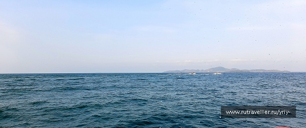 photo 2145937