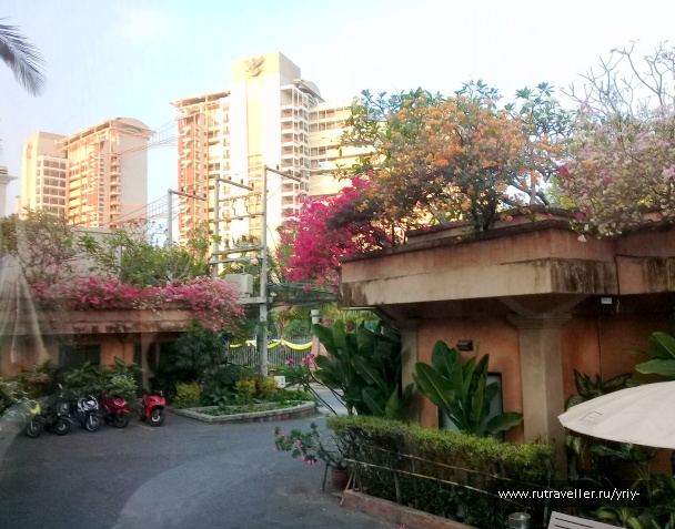 photo 2148442