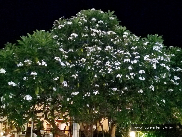 photo 2156814