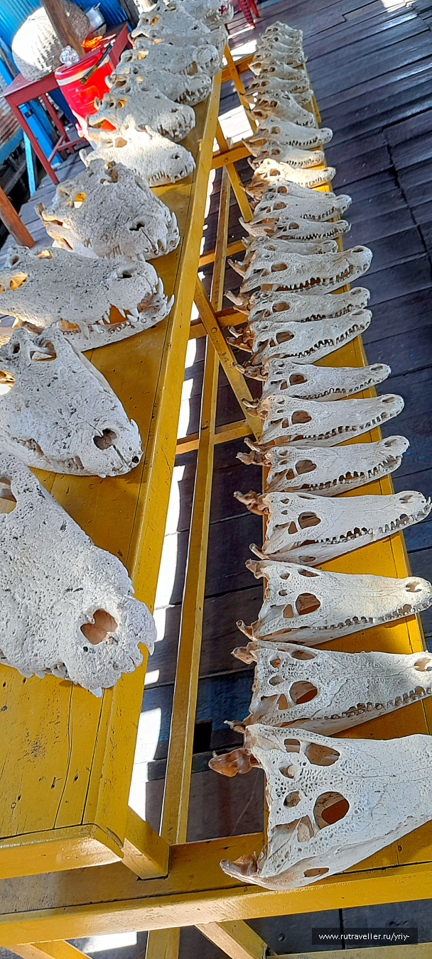 photo 2126083