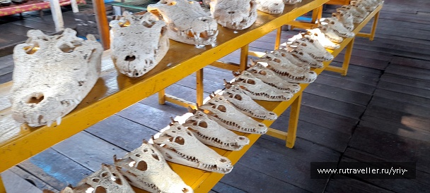 photo 2143547