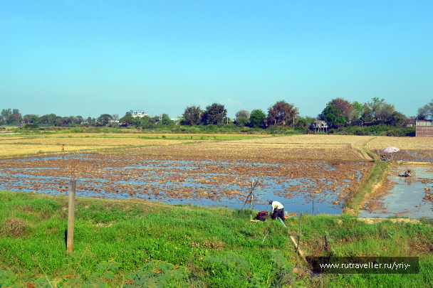 photo 2149411
