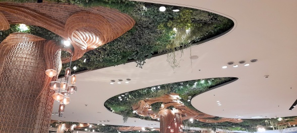 photo 2132720