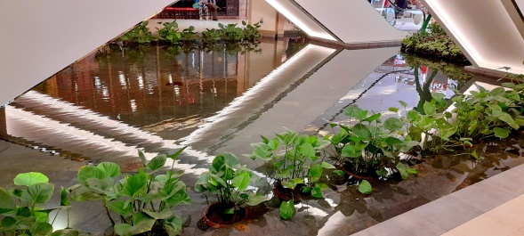 photo 2134022