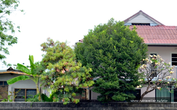 photo 2159562