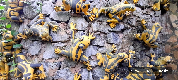 photo 2135313