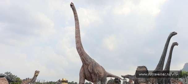 photo 2137327