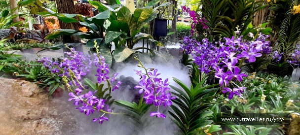 photo 2147711