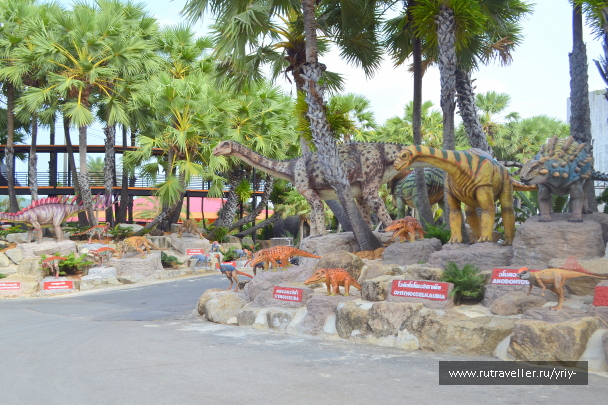 photo 2151453