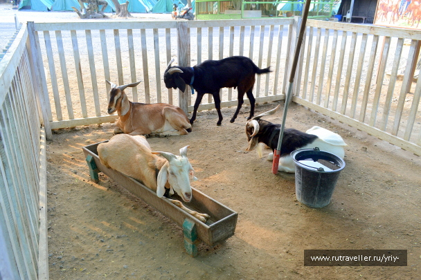 photo 2149355