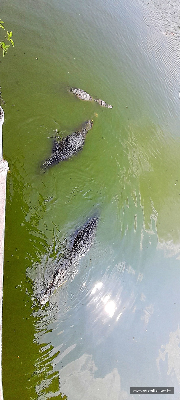 photo 2132617