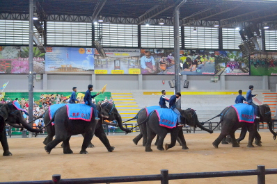 photo 2132978