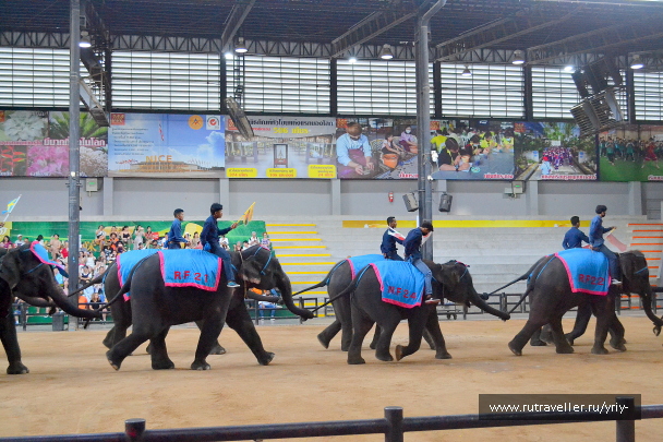 photo 2132978