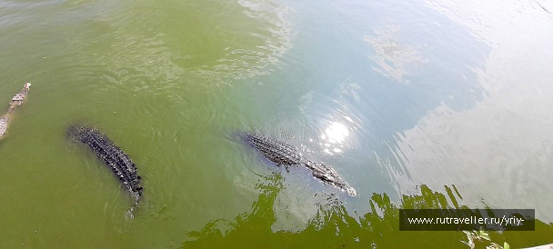 photo 2134155