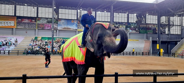 photo 2134704