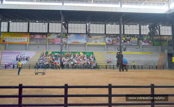 photo 2137852