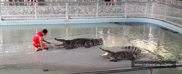 photo 2139871
