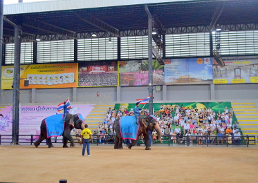 photo 2140631