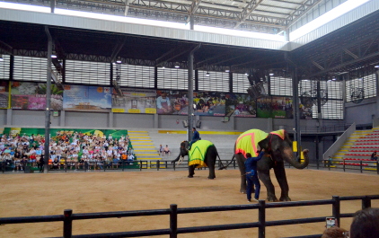 photo 2150769