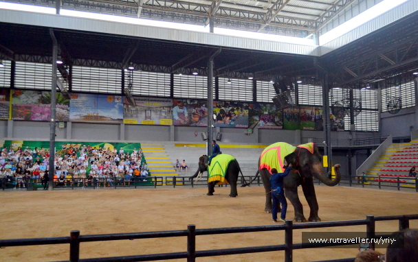 photo 2150769